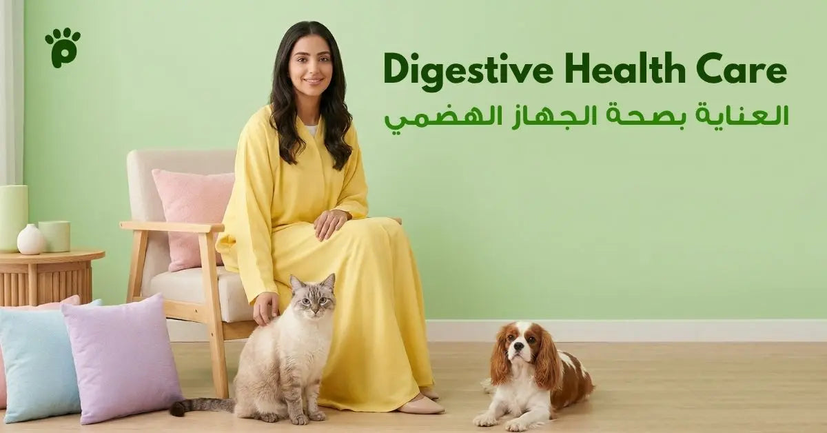 البروبايوتك للقطط و الكلاب, كيف يساعد على الهضم