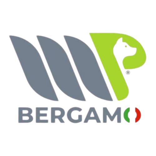 MP Bergamo logo