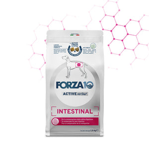 Forza10 Active Dog Dry Food Intestinal Fish
