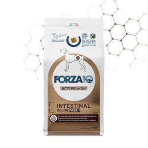 Forza10 Active Dog Dry Food Intestinal Colon Fase I Fish 4kg