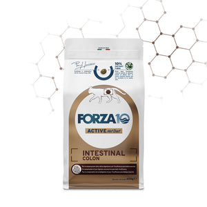 Forza10 Active Cat Dry Food Intestinal Colon Fish