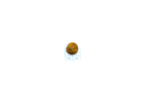 Forza10 Active Cat Dry Food Intestinal Colon Fish