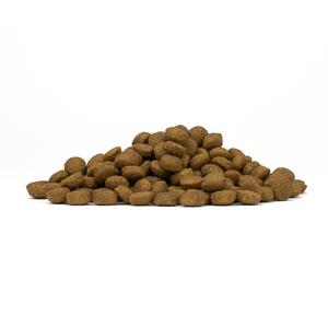 Forza10 Active Cat Dry Food Intestinal Colon Fish