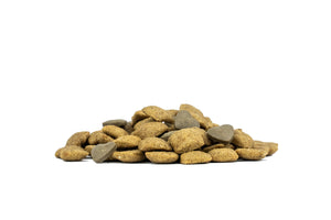 Forza10 Active Dog Dry Food Urinary Fish 1.5kg