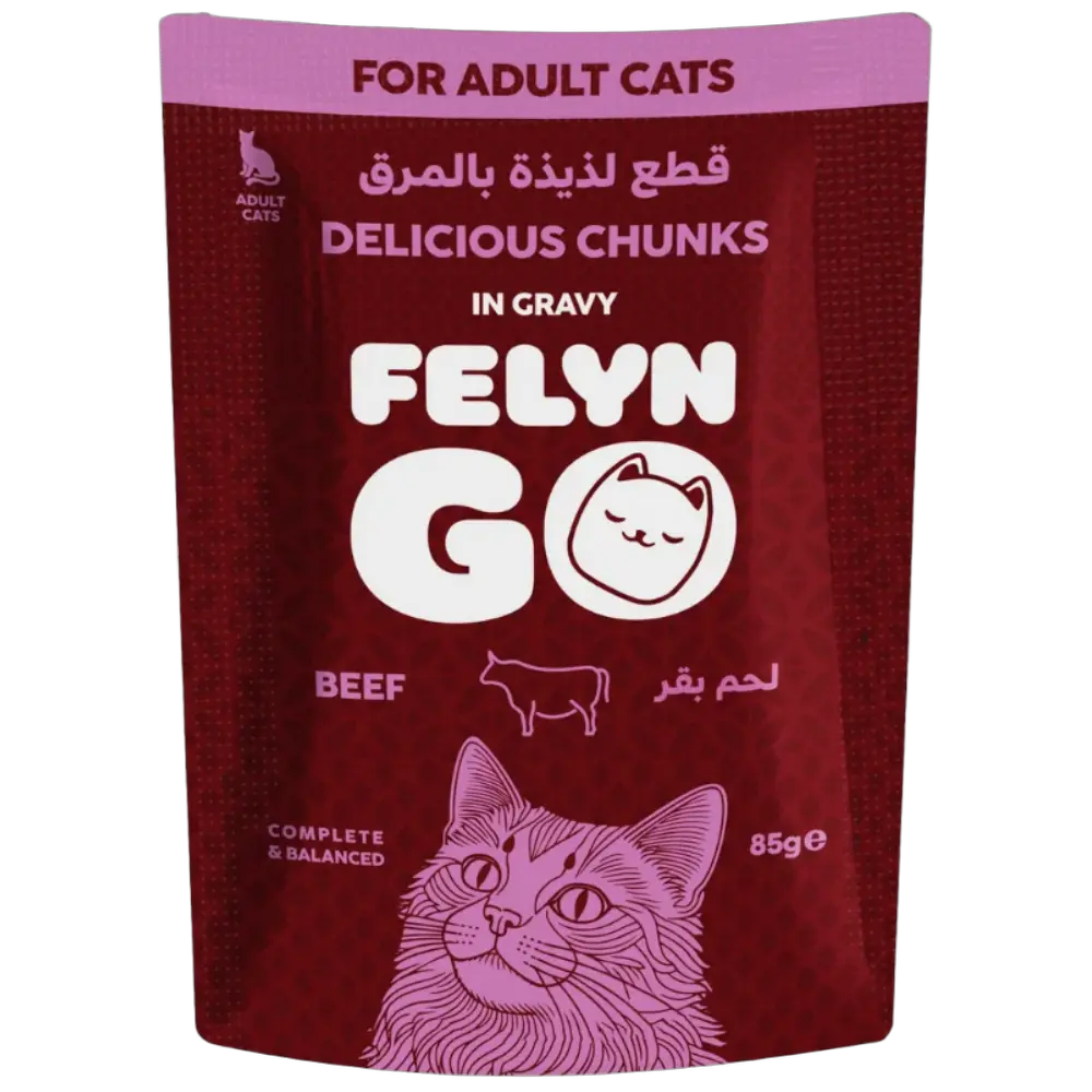 6281001157762, Felyn Go Cat Wet Food Chunks in Gravy Beef Pouch 85g, 1