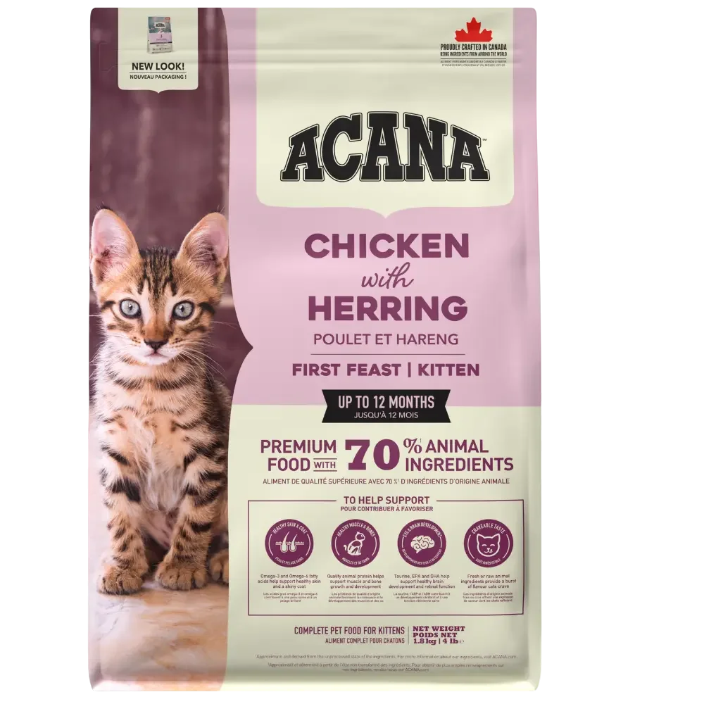 Kitten Essentials 4-in-1 Pack