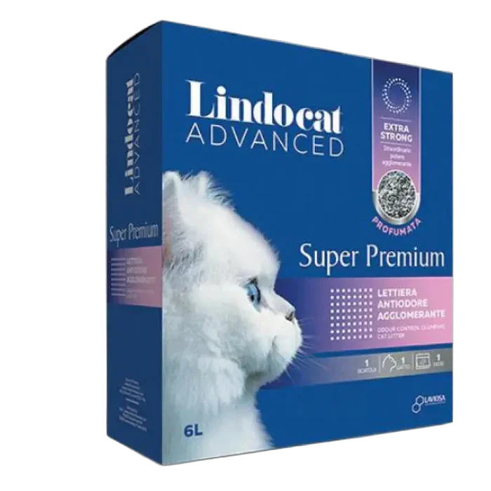 Kitten Essentials 4-in-1 Pack