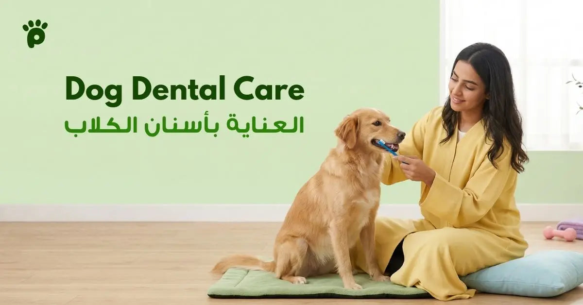 تنظيف اسنان الكلاب في المنزل