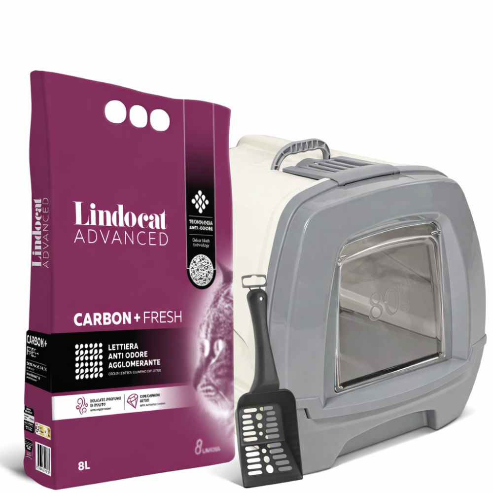 Litter & Accessories category image