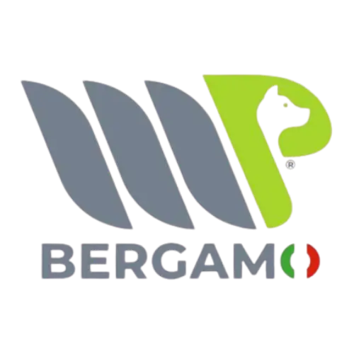 MP Bergamo