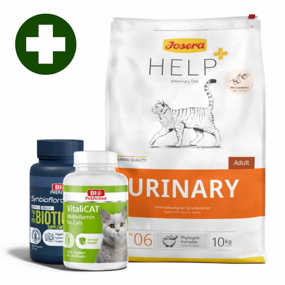 cat pharmacy collection image