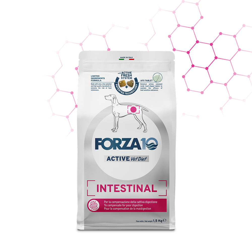 Forza10 Active Dog Dry Food Intestinal Fish