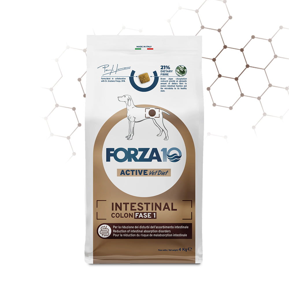 Forza10 Active Dog Dry Food Intestinal Colon Fase I Fish 4kg