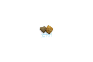 Forza10 Active Dog Dry Food Diabetic Fish 1.5kg