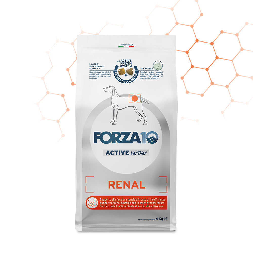 Forza10 Active Dog Dry Food Renal Fish 4kg