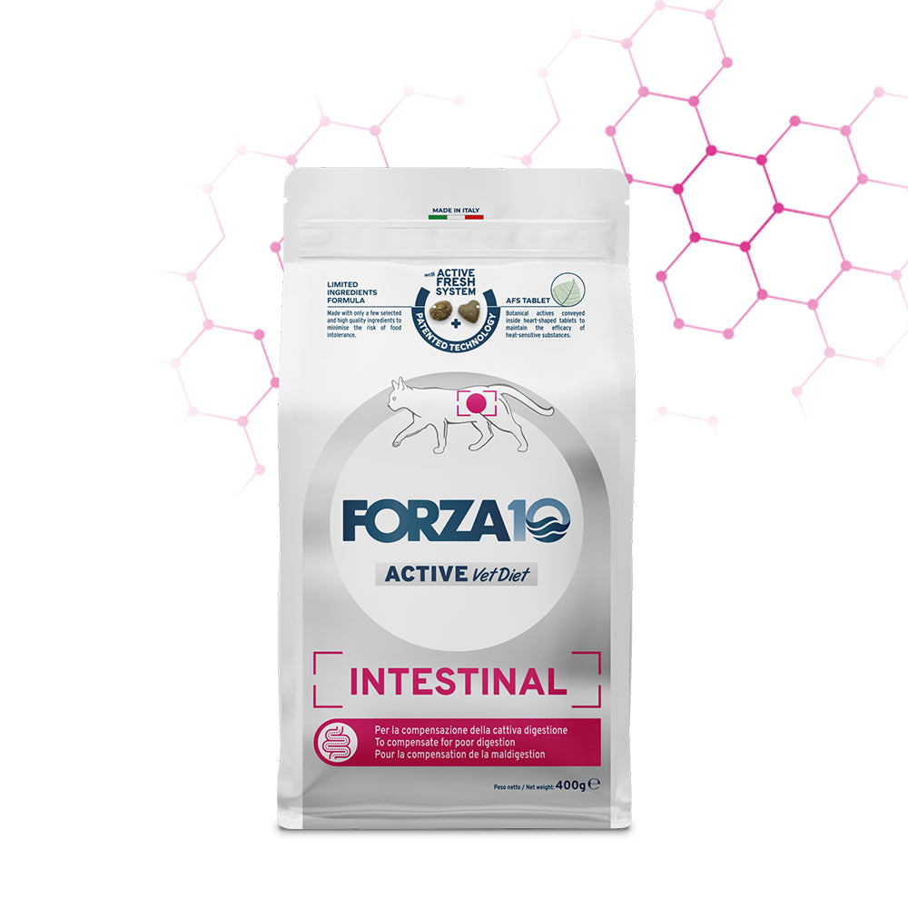 Forza10 Active Cat Dry Food Intestinal Fish