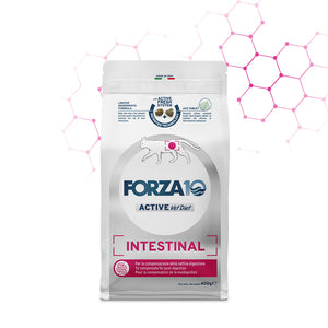 Forza10 Active Cat Dry Food Intestinal Fish