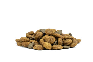 Forza10 Active Cat Dry Food Intestinal Fish