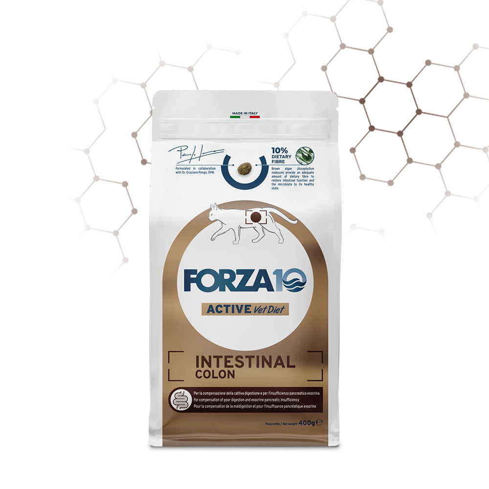 Forza10 Active Cat Dry Food Intestinal Colon Fish