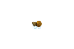 Forza10 Active Cat Dry Food Renal Fish