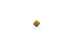 Forza10 Active Dog Dry Food Intestinal Colon Fase I Fish 4kg