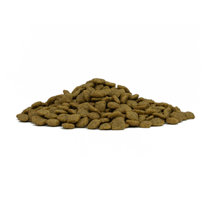Forza10 Active Dog Dry Food Intestinal Colon Fase I Fish 4kg