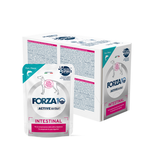 Forza10 Active Dog Wet Food Intestinal Fish Pouch