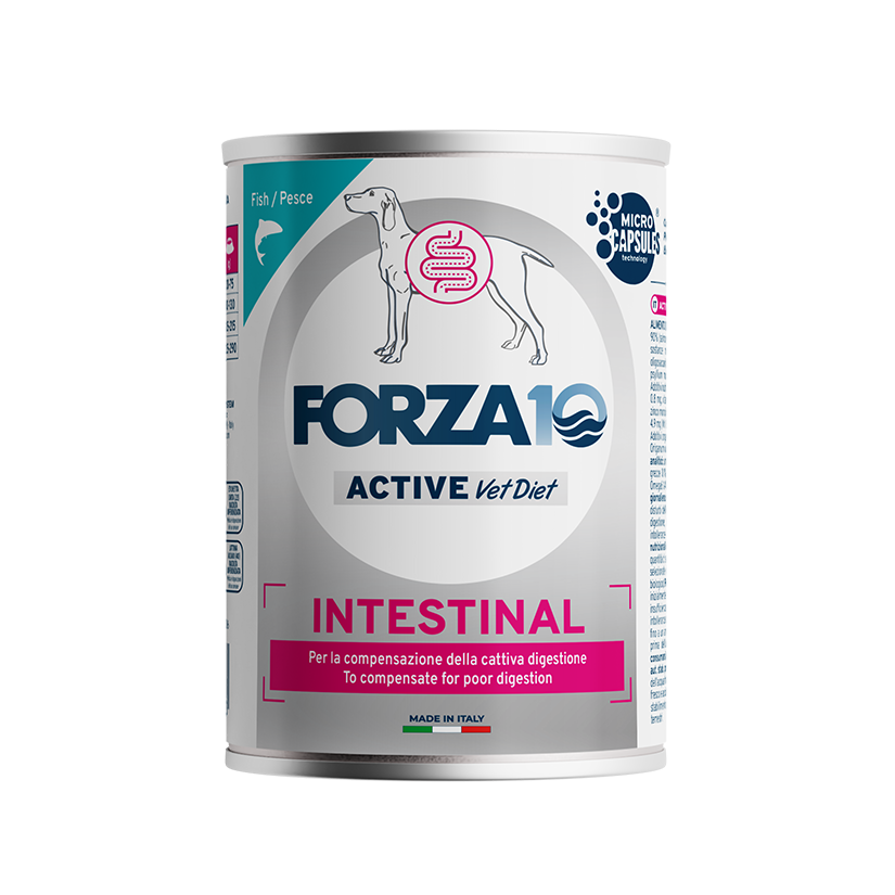 Forza10 Active Dog Wet Food Intestinal Fish Can 390g