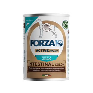 Forza10 Active Dog Wet Food Intestinal Colon Fish Can