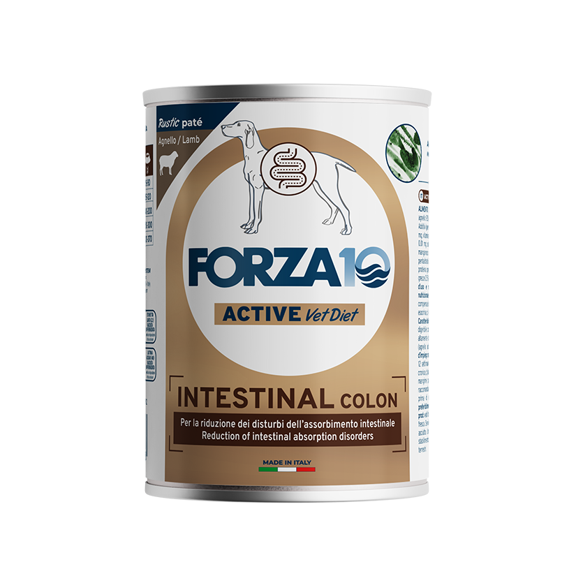 Forza10 Active Dog Wet Food Intestinal Colon Lamb Can