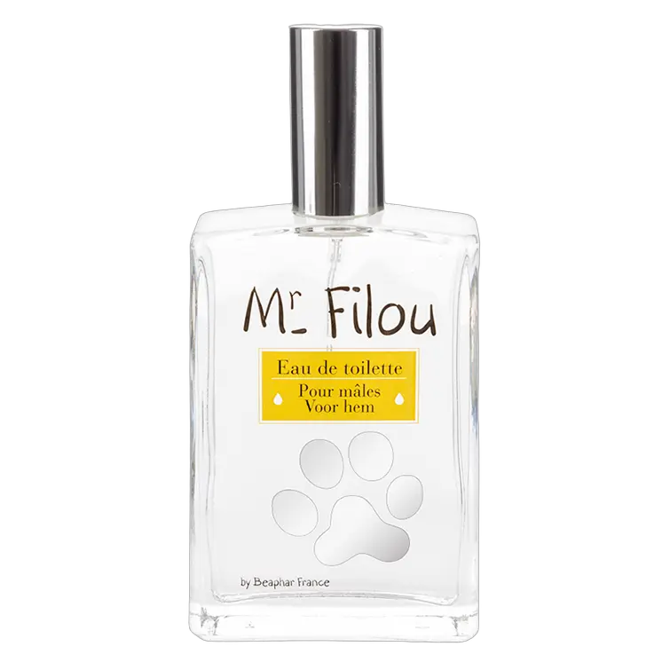 8711231107278, بيفار عطر للكلاب مستر فيلو للذكور, 1