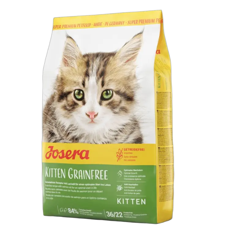 4032254755197, Kit Cat Gravy Wet Food Tuna Beef 70g,