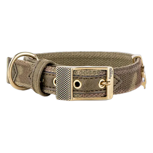 8058773277756, Dog Nylon Collar Green MF West Point, 1