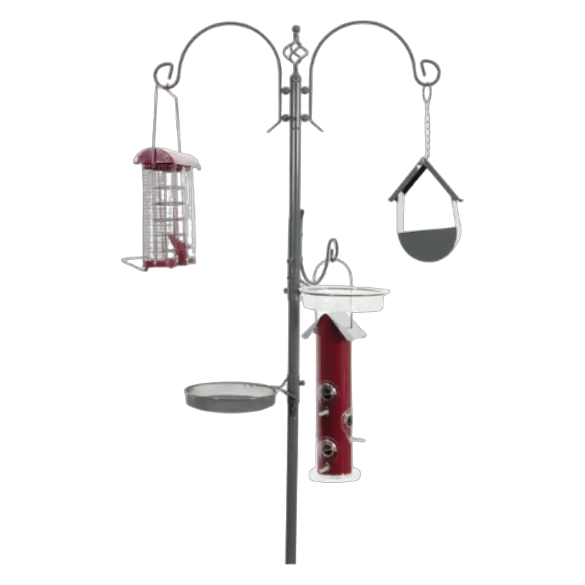3336021701129, Bird Station Feeder With Stand Zolux, 1