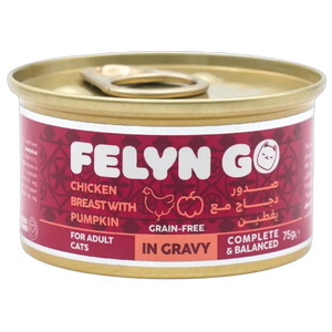 6281001157175, Felyn Go Cat Wet Food Chicken Breast with Pumpkin in Gravy 75g, 1