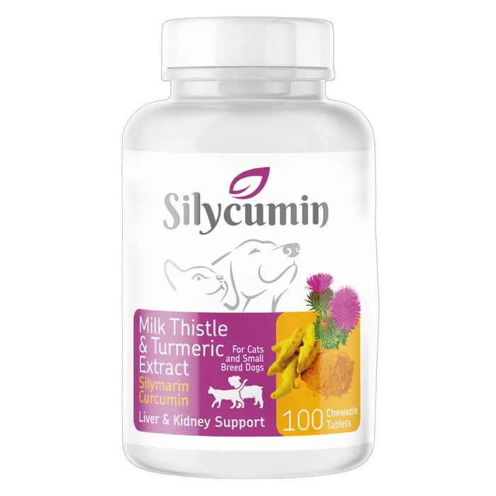 Bio PetActive Cat and Dog Liver & Kidney Support Supplement 100 Tablets Bundle – 4 × 100 Tablets