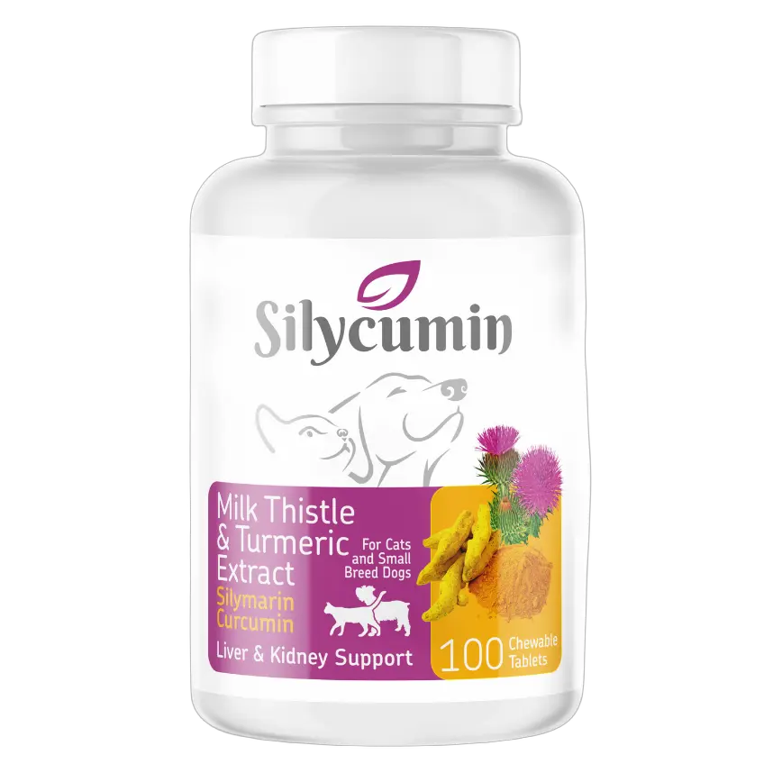Bio PetActive Cat and Dog Liver & Kidney Support Supplement 100 Tablets Bundle – 4 × 100 Tablets