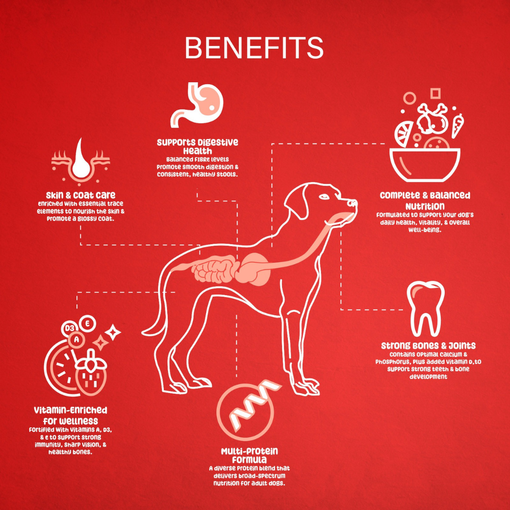 Bitsey Essentials Dog Dry Food Beef, Turkey & Chicken 20kg