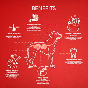 Bitsey Essentials Dog Dry Food Beef, Turkey & Chicken 20kg
