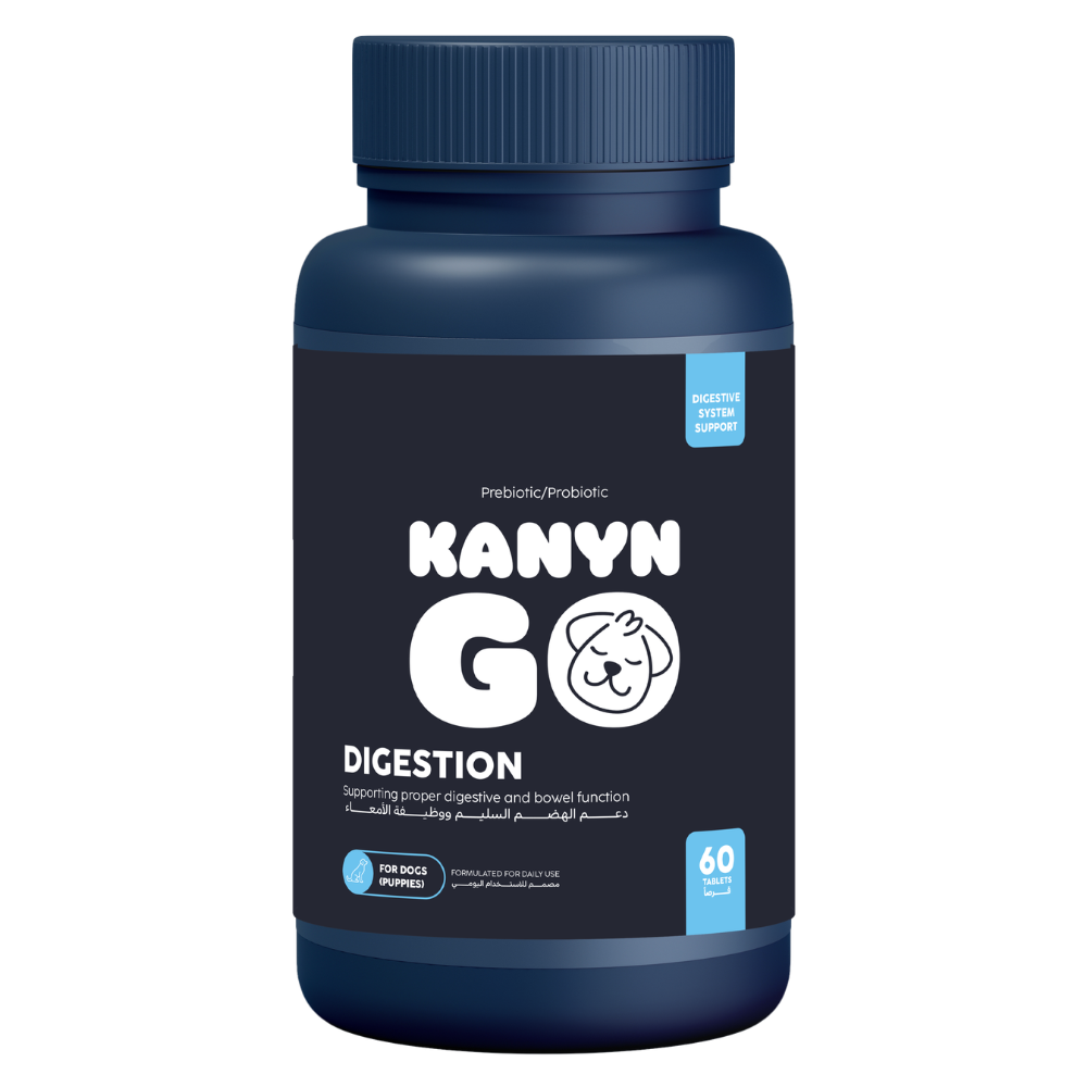 6287050380465 Kanyn Go Dog Digestion 60 Tablets