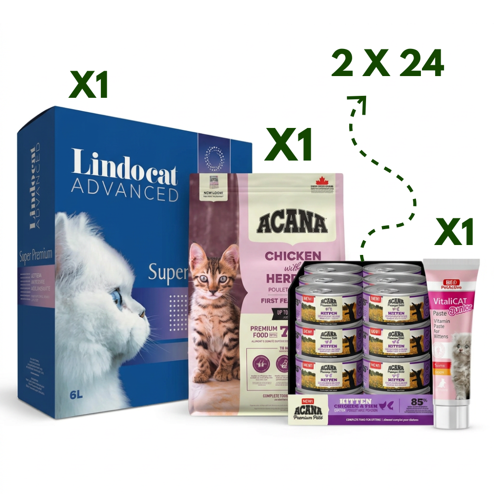 Kitten Essentials 4-in-1 Pack